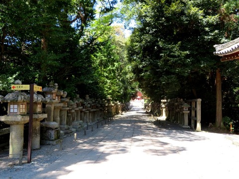 syamu