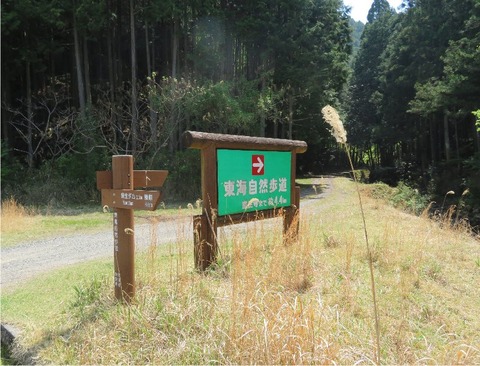muro5