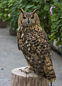 DSC_0257_172