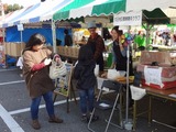 sanfes1808