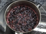 blueberry04