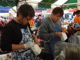 sanfes1811