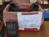 sanfes1807