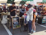 sanfes1812