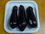 sashiminasu1