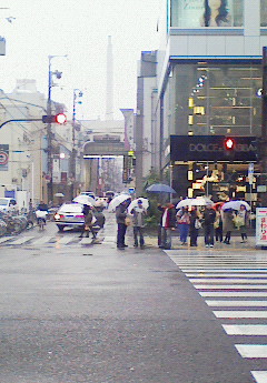 徹底的に怒られる人