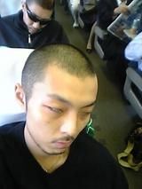 sleeping-WOLF