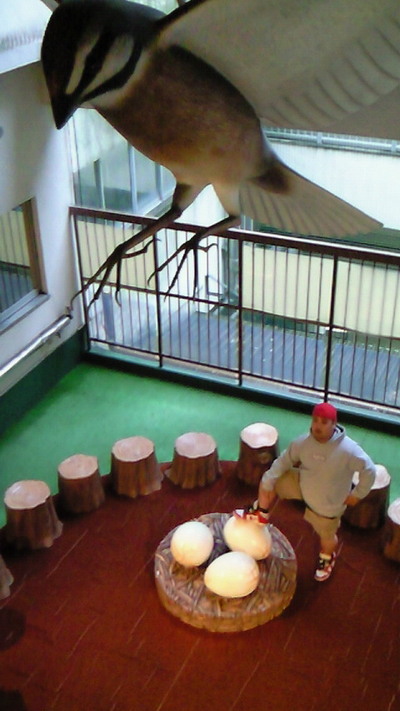 次回に