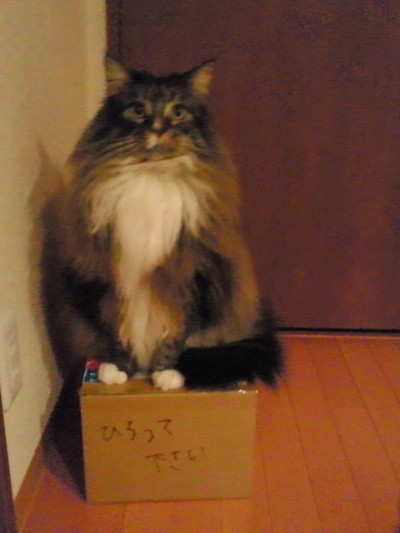 2010032603150000