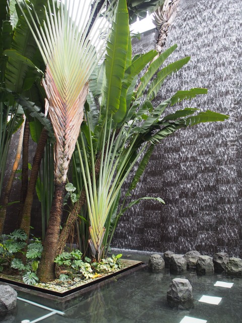 P2080027_GF