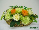 T,Tomoko