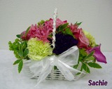 Sachie