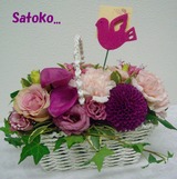 satoko,2