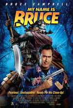 my_name_is_bruce_poster