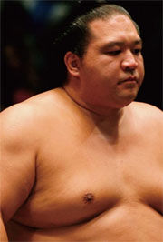 sumo