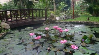 hoian riverside 1