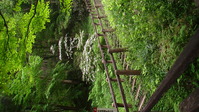 113549みかも山