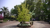 125837フラワーセンター