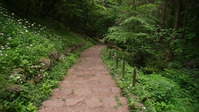 113622みかも山