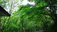102952みかも山