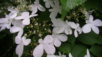 113736みかも山
