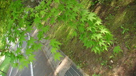 090028みかも山