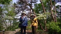 093518みかも山