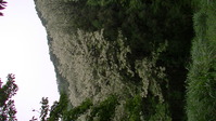 113045みかも山