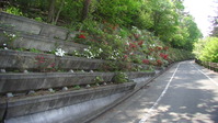 095109みかも山