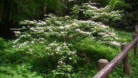 113639みかも山