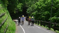 115839aみかも山