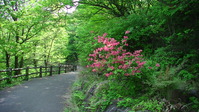 102723みかも山