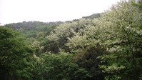 113233みかも山