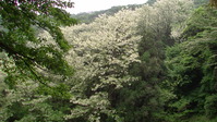 113037みかも山