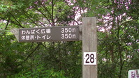 101433みかも山