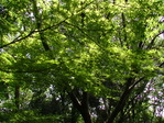 105255みかも山