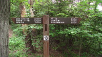 091032みかも山