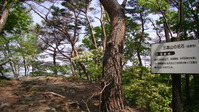 093447みかも山