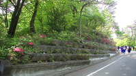 094827みかも山