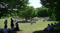 122333aみかも山