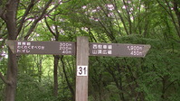 100045みかも山