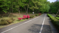 085752みかも山