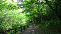 102855みかも山