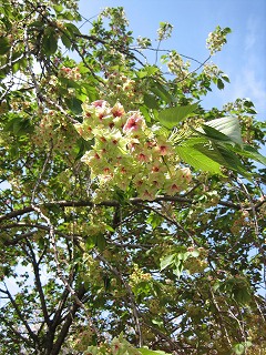 602b539b.jpg