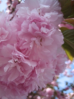 87c8fa72.jpg