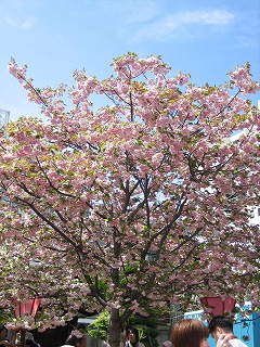 c02614d5.jpg