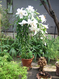 c6d44825.jpg