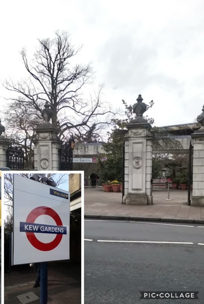 kew5