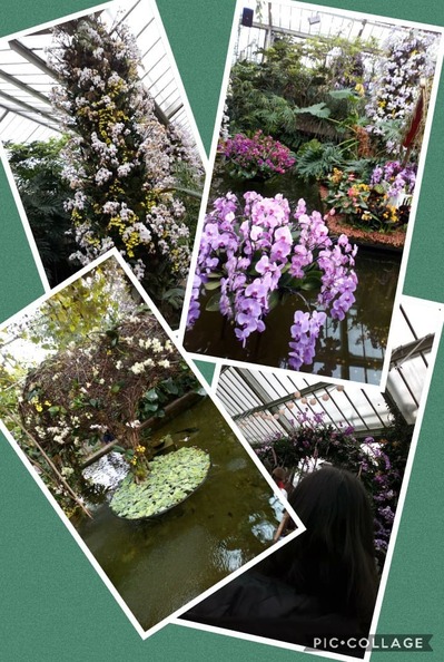 kew 2