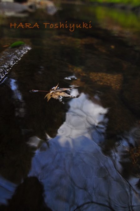 DSC_7791_700